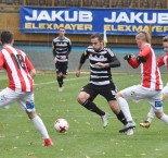 SK Dynamo ČB - FK Viktoria Žižkov 3:1