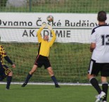 Veteráni: SK Dynamo ČB - Slavoj Ledenice 13:2